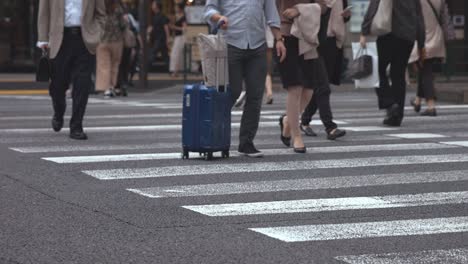 People-walking-on-the-crosswalk-(Slow-Motion-Video)-Ginza-&-Yurakucho-in-Summer