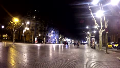 Gente-camina-en-pasarela-en-la-noche-después-del-día-de-carnaval