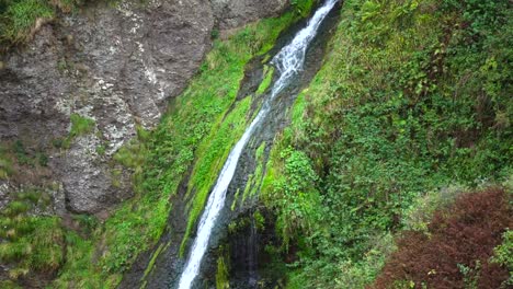 Wasserfall-im-Wald-