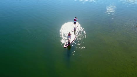 Couple-on-stand-up-paddle-board-oaring-in-river-4k