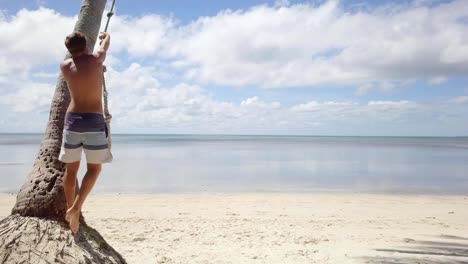 Drone-shot-aerial-view-of-young-man-playing-on-beach,-swing-rope-on-palm-tree.-Shot-in-the-Philippines,-4K-resolution-video.-People-travel-vacations-concept