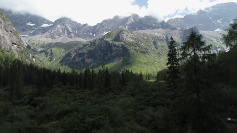 Drone-volando-en-el-bosque-de-Valle-de-montaña