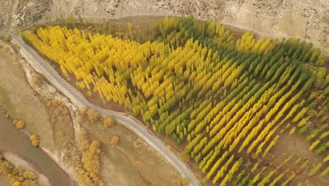 Landschaft-der-Hemu-Dorf,-Xinjiang,-China