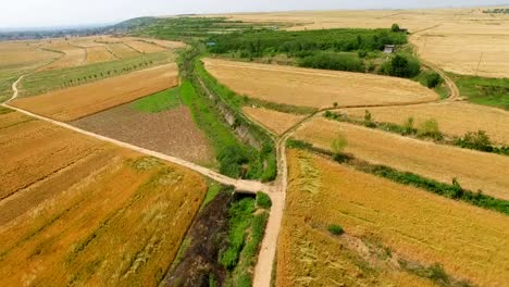 Aerial-view-of-Wheat-field-and-village,Xi'an,China.