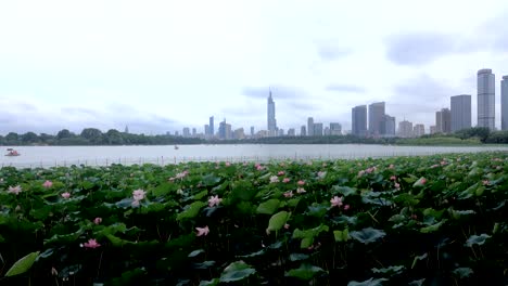 Moderne-Wolkenkratzer-von-Nanjing-mit-Plätschern-des-Wassers-des-Xuanwu-Sees