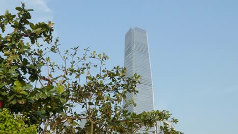 day-time-hong-kong-city-famous-icc-building-up-view-walking-panorama-4k-china