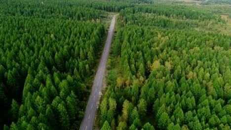 Aerial-Drone-Filmmaterial-Ansicht:-Aufstehen-vom-Trail-durch-herbstliche-Wälder-Landschaft