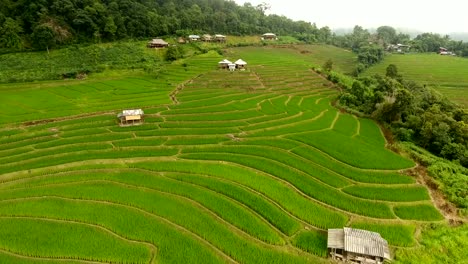 Terraza-de-campo-de-arroz-en-tierras-de-agricultura-de-montaña.