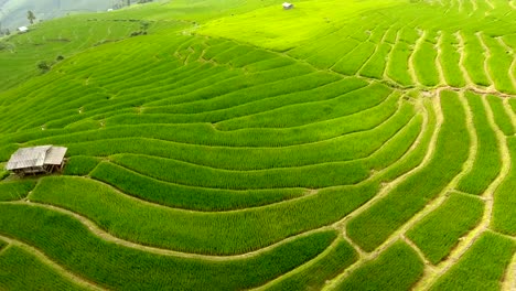 Rice-field-terrace-on-mountain-agriculture-land.