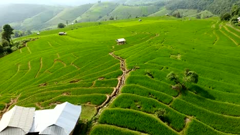 Terraza-de-campo-de-arroz-en-tierras-de-agricultura-de-montaña.