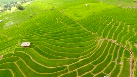 Rice-field-terrace-on-mountain-agriculture-land.