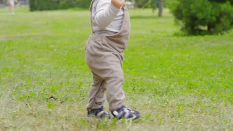 Bebe-aprendiendo-a-caminar-en-el-Parque