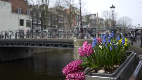 Decorated-canal-embankment-in-Amsterdam