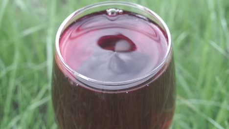 glass-of-wine-on-a-grass-background,-close-up-.