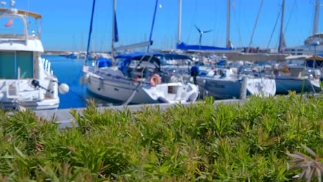 A-large-number-of-yachts-moored-in-the-seaport-of-Valencia