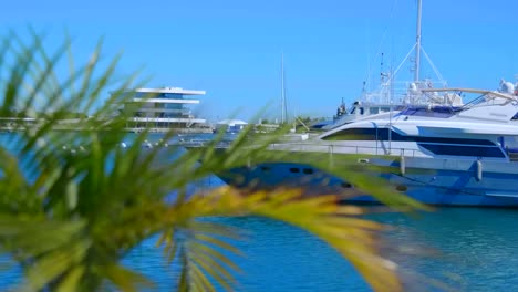 Barcos-y-grandes-yates-amarrados-en-el-puerto-de-Valencia