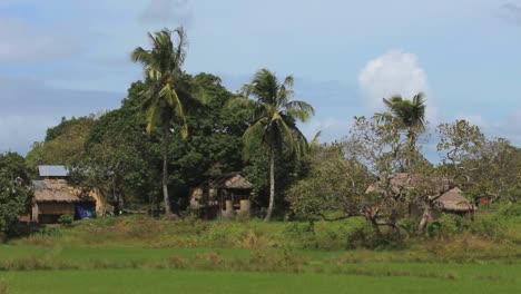 Reisterrassen-auf-den-Philippinen