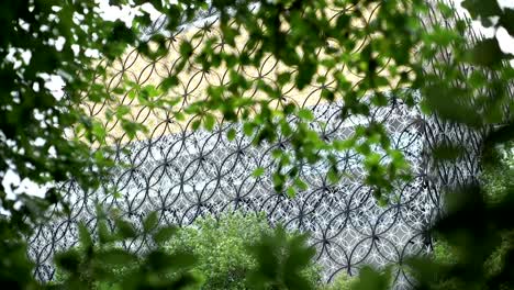 Birmingham-Library-exterior-behind-tree-leaves.