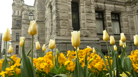 Blumenbeet-Parlamentsgebäude-Victoria,-Kanada