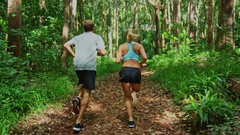 Jogging-in-the-Forest