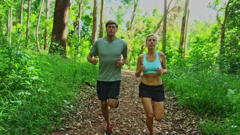 Jogging-in-the-Forest