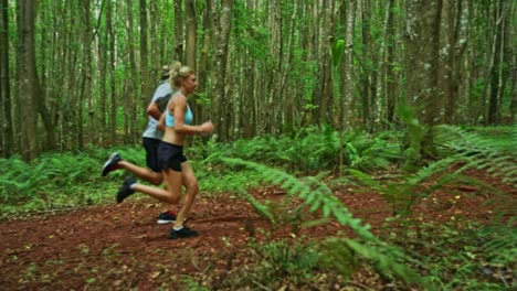 Jogging-in-the-Forest