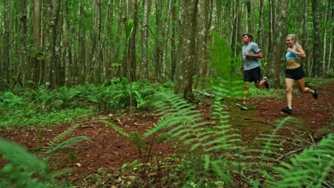 Jogging-in-the-Forest