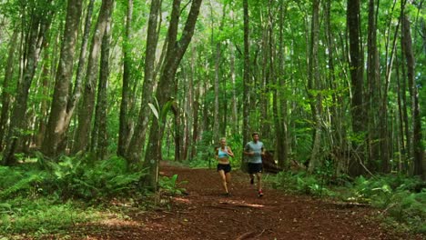 Jogging-im-Wald