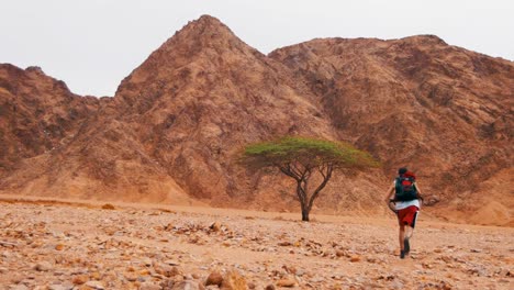 Lost-in-the-Desert-Man-Runs-to-the-Green-Tree-and-Shade