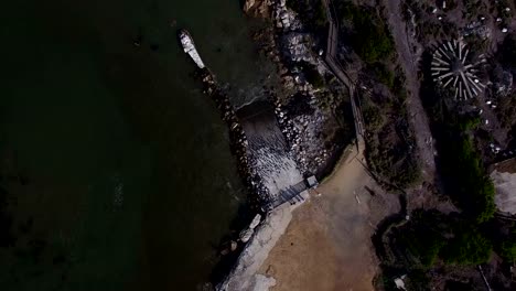 high-aerial-birds-eye-pan---penguins-at-ocean