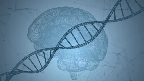 Human-DNA,-the-brain.-Abstract-background-with-plexus.-Loop-animation