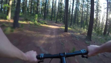 4K-Mountain-Bike-POV