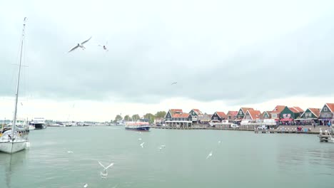 Aves-volando-sobre-el-mar-en-la-costa-de-Volendam