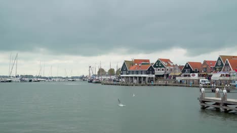 Closer-look-of-the-green-houses-near-the-harbor-port