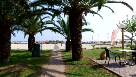 Gehen-zum-tropischen-Strand-mit-Palmen.-4-k-Pov-Steadicam-Schuss