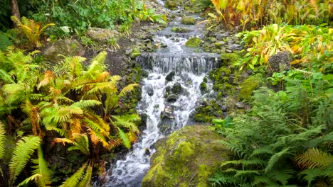 Beautiful-Waterfall-in-Royal-Botanic-Garden-in-Edinburgh,-Scotland