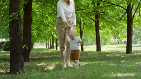 Niño-bebé-primeros-pasos-al-aire-libre