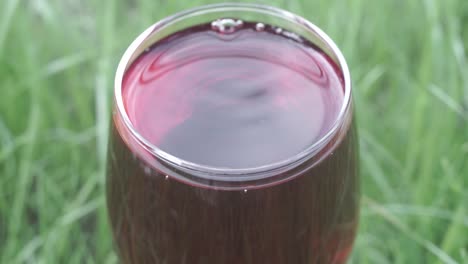 glass-of-wine-on-a-grass-background,-close-up-.