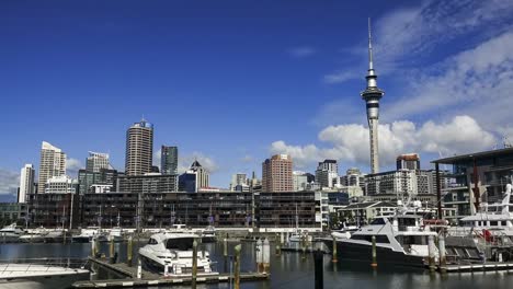 Auckland-rich-city-centre