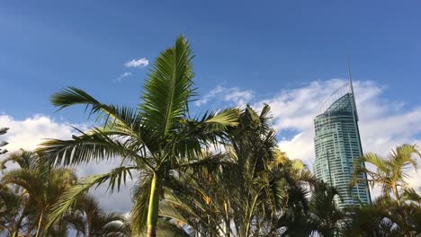 Skyscraper-Building-Gold-Coast-Queensland-Australia