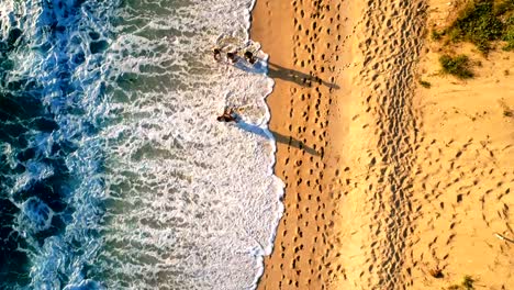 Touristen-zu-Fuß-am-Strand-an-einem-sonnigen-Tag-4k