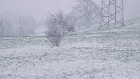 Kind-und-Mutter,-die-zu-Fuß-in-einem-Wintersturm