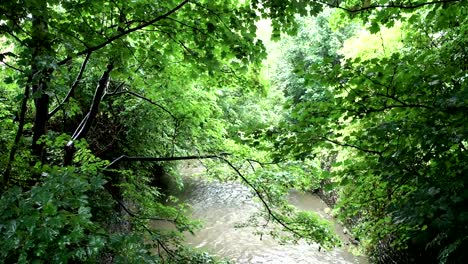 River-Rea-in-Canon-Hill-Park,-Birmingham.