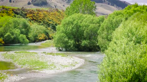 Volar-pescador-prístinas-del-río-en-Nueva-Zelanda.-Toma-ancha.