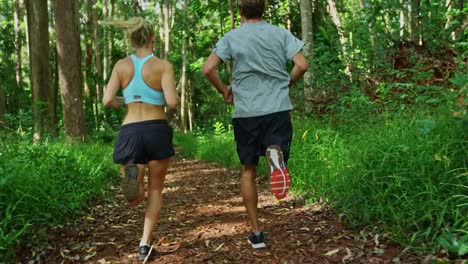 Jogging-in-the-Forest