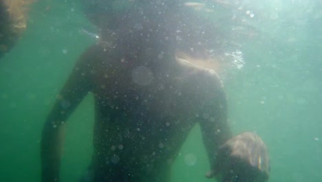 Underwater-shot-of-a-man-swimming-in-the-sea