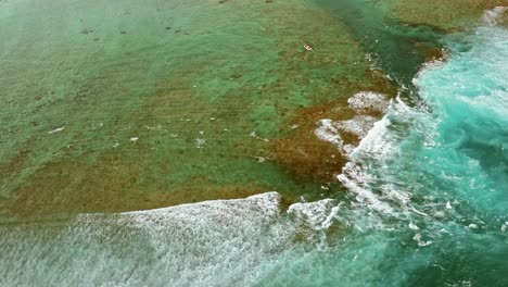 Aerial-view-of-coral-reefs