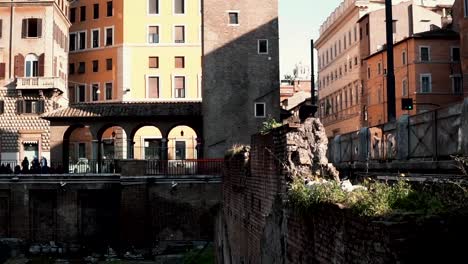 Blick-auf-Platz-Largo-di-Torre-Argentina-in-Rom,-Italien.-Lage-der-archäologischen-Grabung.-Die-Katze-sitzt-auf-Ausgrabung