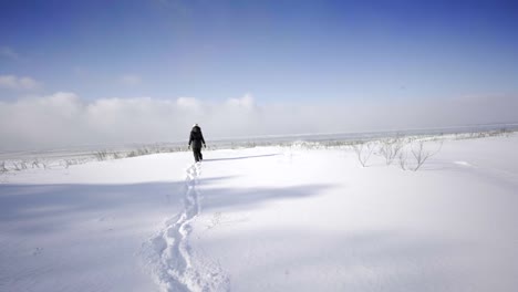 view-of-georgian-bay-ontario-canada-in-winter-with-snow-woman-walking