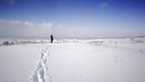 view-of-georgian-bay-ontario-canada-in-winter-with-snow-woman-walking